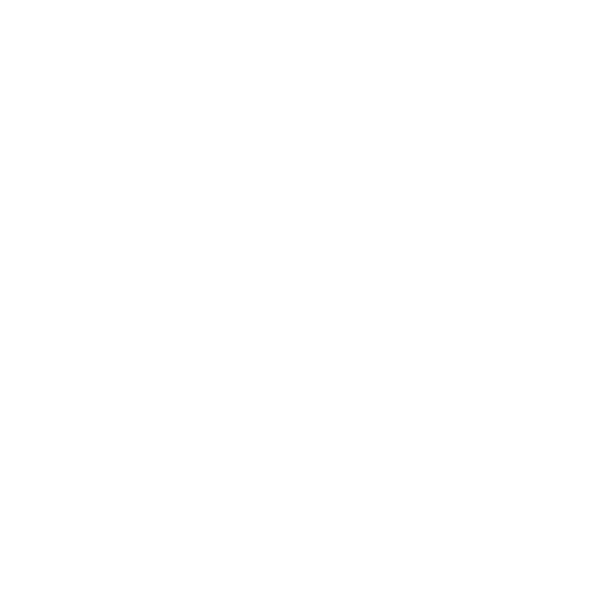 Truthlocks White Logo